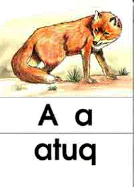 a - atuq