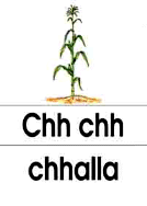 chh - chhalla