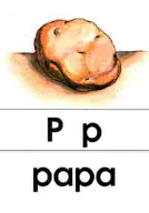 p - papa